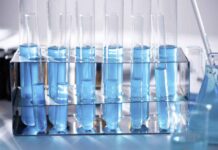 Lab Report Blues? We’ve Got the Antidote! Test tubes in lab