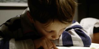 What Charter Schools Do and What Canada Can Learn Education