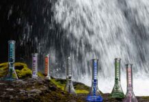 Beginners Guide to Choosing A Bong Beginners Guide to Choosing A Bong