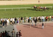 Exploring Ellis Park: What You Need To Know Before You Go Ellis Park