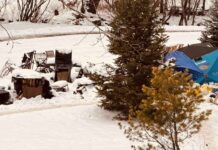 First Nations Call on Thunder Bay to Declare Homelessness Emergency as Extreme Cold Grips City Fire Debris at McVicars Creek Homeless encampment