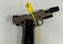 Dryden: Fail-to-Stop Incident Leads to Arrest of Fugitive Wanted on Canada-Wide Warrant