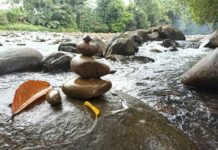 Explore the Creative Possibilities of Incorporating Large River Rocks into Stylish Interiors River Rocks