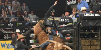 Texas Rattlers leave Fort Collins as the only undefeated team in the 2026 PBR Teams season Image: Josh Homer/Bull Stock Media