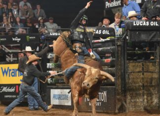 Texas Rattlers leave Fort Collins as the only undefeated team in the 2026 PBR Teams season Image: Josh Homer/Bull Stock Media
