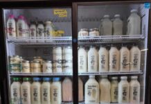 Thunder Bay Slate River Dairy Faces Bottle Shortage—Calls on Community for Help Slate River Dairy