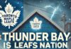 Toronto Maple Leafs’ 2025-26 season has become a year of reset, not a run Thunder Bay is Leafs Nation Territory