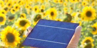 Yehuda Gittelson Watched the Turbines Before He Installed the Panels Solarpanel