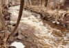 Flood watch issued for Thunder Bay region as more rain expected Mcvicars Creek Thunder Bay
