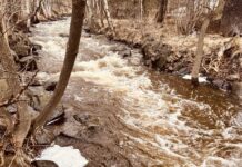 Flood watch issued for Thunder Bay region as more rain expected Mcvicars Creek Thunder Bay