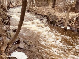 Flood watch issued for Thunder Bay region as more rain expected Mcvicars Creek Thunder Bay