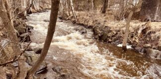 Flood watch issued for Thunder Bay region as more rain expected Mcvicars Creek Thunder Bay