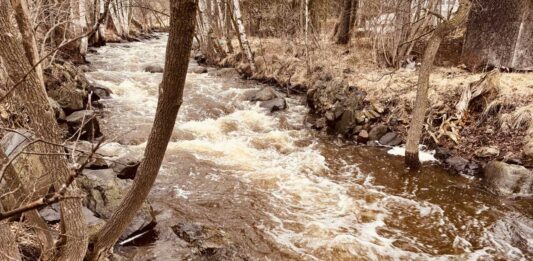 Flood watch issued for Thunder Bay region as more rain expected Mcvicars Creek Thunder Bay