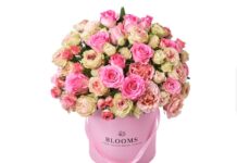 From Coastline to Celebration: Your Ultimate Guide to Flower Delivery in Vancouver flowers