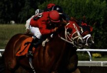 Who Are the Current Preakness Stakes 2025 Favorites? Horse racing