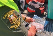 Joint OPP–MNRF Enforcement Blitz on Highway 527 Nets Multiple Charges and Warnings OPP and MNRF conduct joint RIDE and wildlife enforcement blitz on Hwy 527, resulting in charges, warnings, and a criminal arrest.