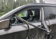Treaty Three Police Urge Community Vigilance After Bear Activity on July 21 Raises Safety Concerns Image - Treaty 3 Police