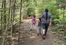 Bear Sightings Impact Centennial Park Leash Free Area Centennial Park off leash dog park