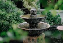 5 Small Backyard Improvements With Big Impact Image by Jeffrey Bonto from Pixabay