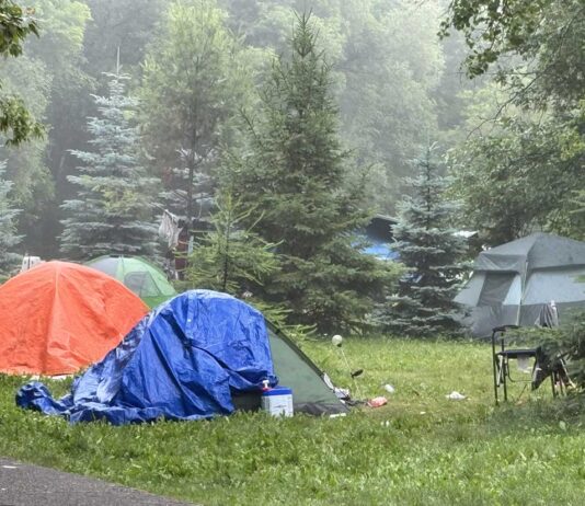 Ontario opens Brampton HART Hub while Thunder Bay’s NorWest-led hub offers local recovery services Homeless encampment in Thunder Bay along McVicars Creek