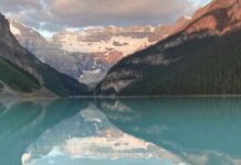 Insurance Advisor Lucy Lukic on Planning Amid Shifts in Canadian Financial Environment Lucy Lukic