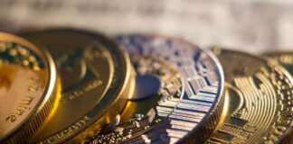 Top Business Crypto Wallet Options for Secure Treasury Management in 2026 Crypto