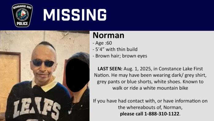 MP - Norman NEOTAPIN - VF25015381 - V2 Missing