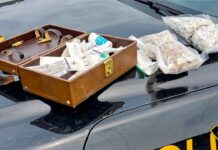 Saskatchewan Driver Faces 14 Charges After Police Pursuit Near Marathon Image Marathon OPP