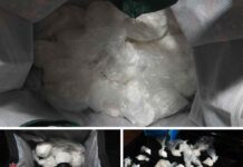 Scarborough Man Arrested in Thunder Bay $200K Drug Bust TB25032317 – Police Seize Cocaine, Methamphetamine, and Hydromorphone; Suspect Arrested