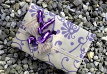 5 Birthday Gift Ideas You Can Arrange From Anywhere Image by Wereldwinkel Schoonhoven from Pixabay