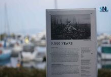 Thunder Bay Weather: From Foggy to Fabulous, Then Fall Slips In 9000 Years of History at Marina Park