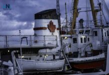Thunder Bay Weather – Drizzly and damp this morning, with humid conditions continuing into Monday before sunshine makes a comeback midweek Alexander Henry - Museum Ship at Cruise Ship Dock