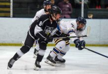 Hockey – Thunder Bay Kings Weekend Update Thunder Bay Kings - Image James Mirabelli