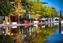 Stop the Scroll – Build Your Business Brand with Professional Images Stop the Scroll - Kevin Palmer - Palmer Creative Group