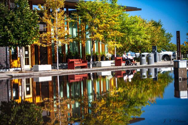 Stop the Scroll - Kevin Palmer - Palmer Creative Group