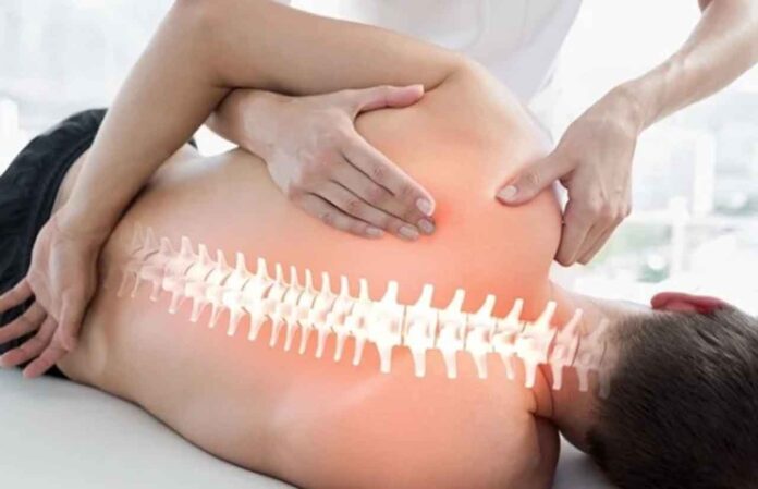 Physiotherapy with Other Wellness Practices