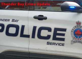 Thunder Bay police responded to 993 calls from March 8 to 14, with collisions topping the weekly list Thunder Bay Police responded to 847 calls in one week, including 71 collisions and 48 domestic incidents
