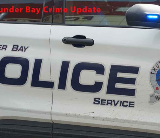 Thunder Bay police responded to 993 calls from March 8 to 14, with collisions topping the weekly list Thunder Bay Police responded to 847 calls in one week, including 71 collisions and 48 domestic incidents