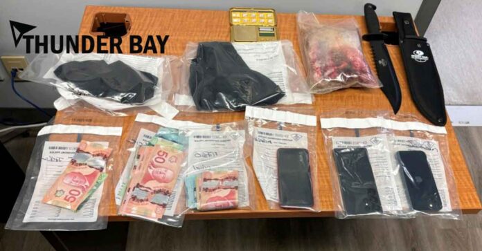 Image- Thunder Bay OPP