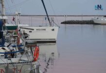 Thunder Bay Weather Update – May 20, 2026: More April Than May as Chilly Pattern Continues Welcome at Marina Park Sept 2025