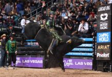 PBR Playoffs Deliver Shocking Shakeup as Top Seeds Crumble in Vegas Showdown Dalton Kasel riding a bull named Uncle Rico during the second day of the Camping World Teams Series Championship in Las Vegas, Nevada.