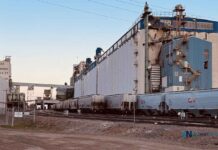 Thunder Bay Weather Outlook – Thursday, October 16, 2025 CN Rail grain cars in Thunder Bay