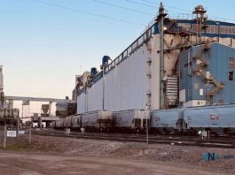 Why Thunder Bay Is Becoming Canada’s Most Watched Small City in 2026 CN Rail grain cars in Thunder Bay