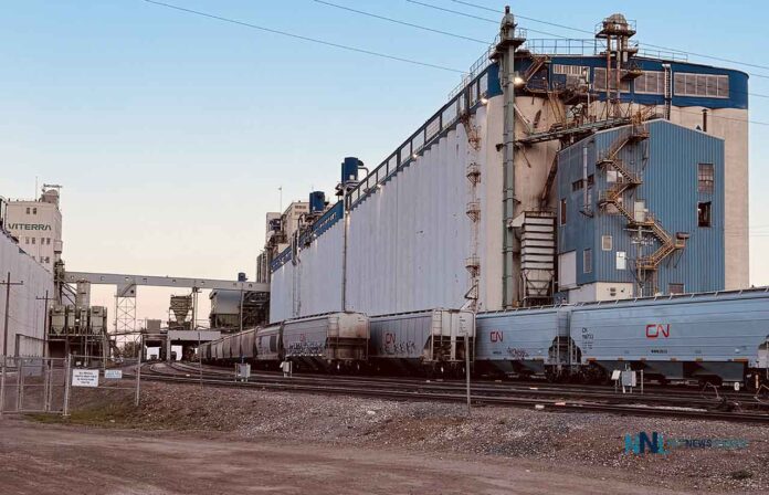 CN Rail grain cars in Thunder Bay