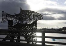 Thunder Bay Weekend Weather Outlook for October 25-27 2025 On the Edge of a Storm - Kam River Bridge