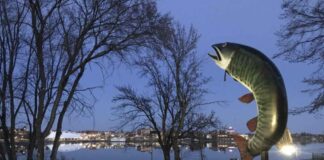 March 25, 2026: Kenora Weather Outlook Turns Snowy Today Before a Sharper Cold Returns Husky the Musky in Kenora