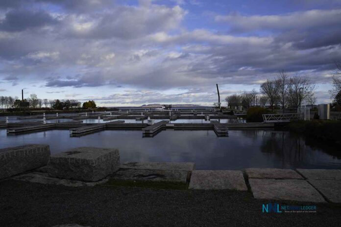 Prince Arthur's Landing on October 19 2025 - One left!