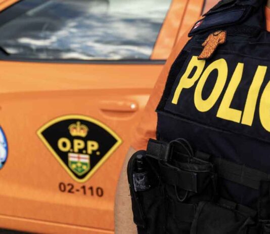 Ignace residents face drug and firearms charges after OPP search warrant on West Street Ontario Provincial Police