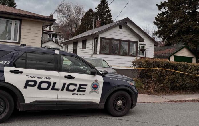 TBPS Holding the scene for investigators on College Street scene of the 6th homicide of 2025 TBPS Holding the scene for investigators on College Street scene of the 6th homicide of 2025