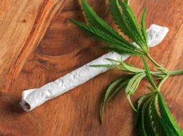The Essential Role of Concentrate Jars in Your Daily Life CBD Prerolls